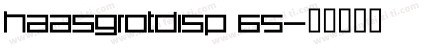 haasgrotdisp 65字体转换